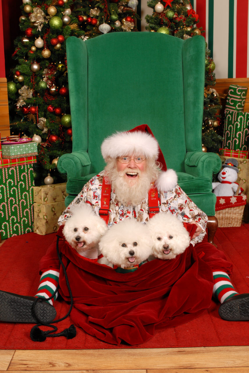 The Mall Santa Who Wears Birkenstocks 